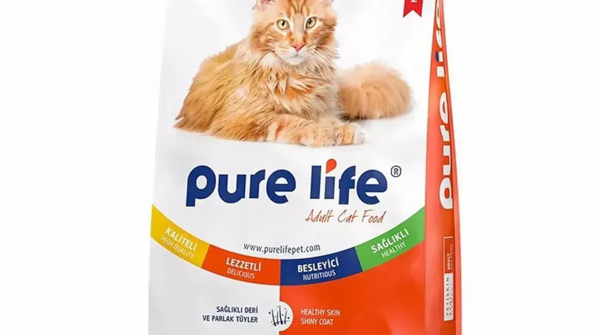 Yaşam Evresine Göre Kedi Maması