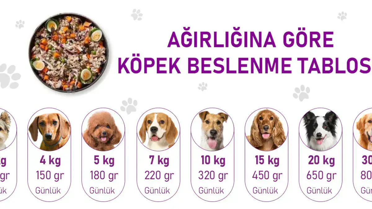 Irk Boyutu ve Özel Formüller