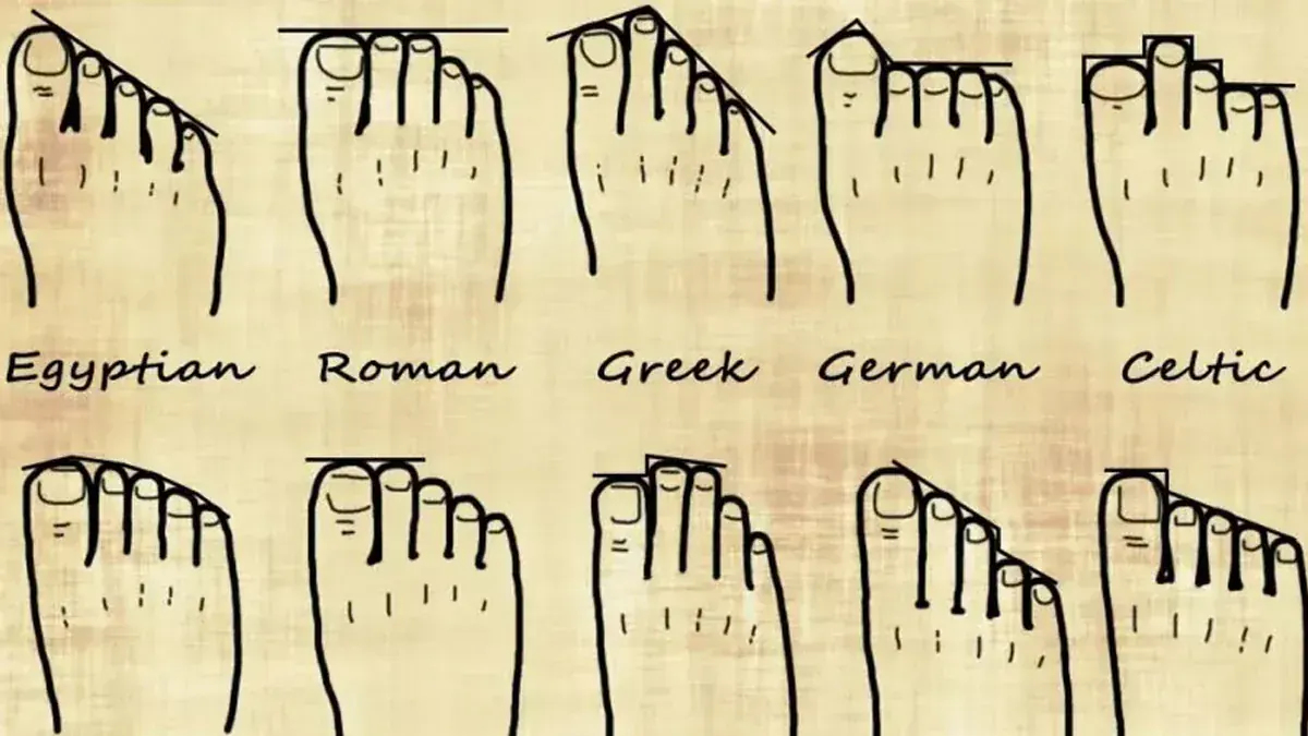 1. Ayak Tipi ve Pronasyon