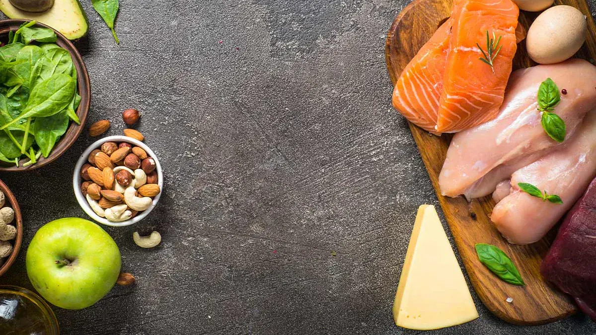 Protein Kaynakları: Hayvansal vs Bitkisel