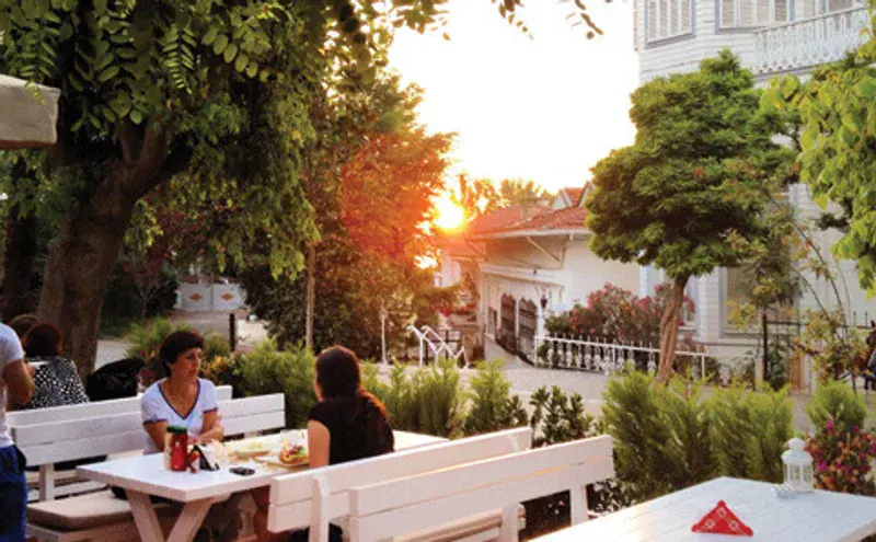 Zeller Present Akasya