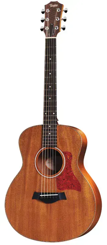 Taylor GS Mini