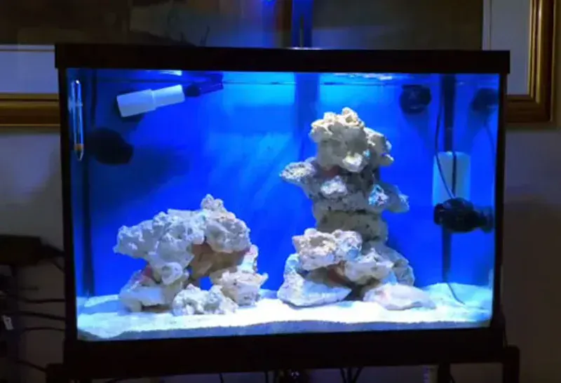 Marina LED Aquarium Kit 54