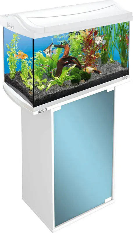 Tetra AquaArt 60