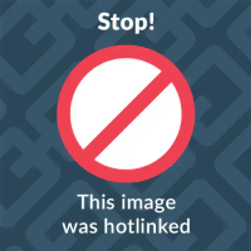 Autocover Havuzlu Standart