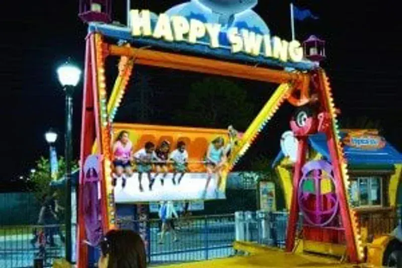 Dolu Happy Swing Set