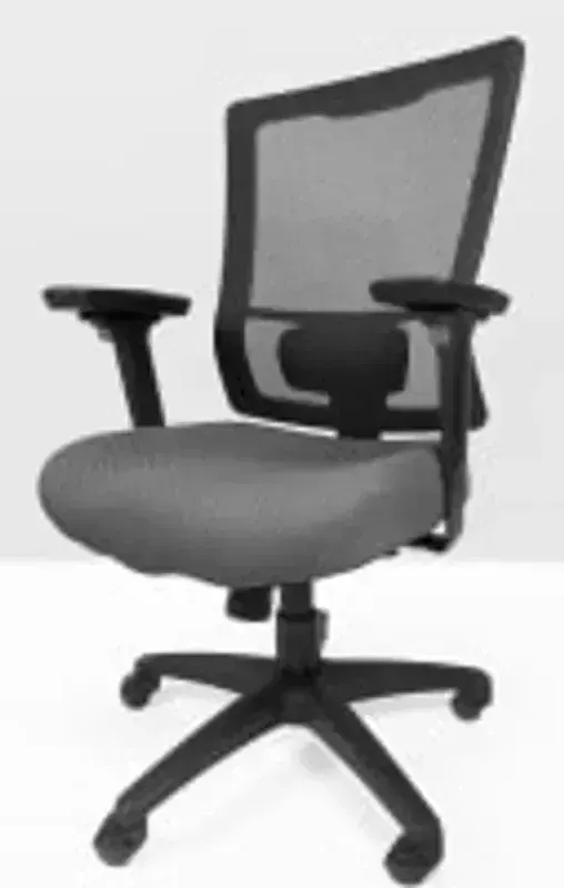 Tempur-Pedic Lumbar Support