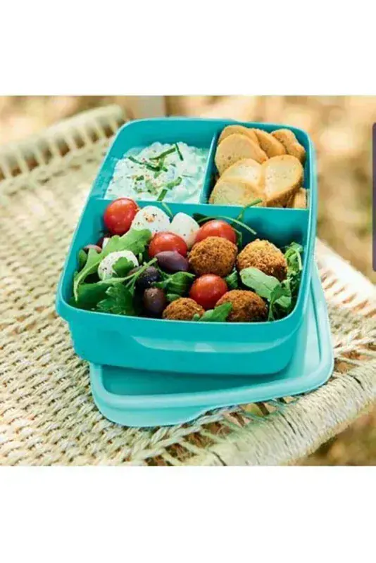 Tupperware Beslenme Kutusu