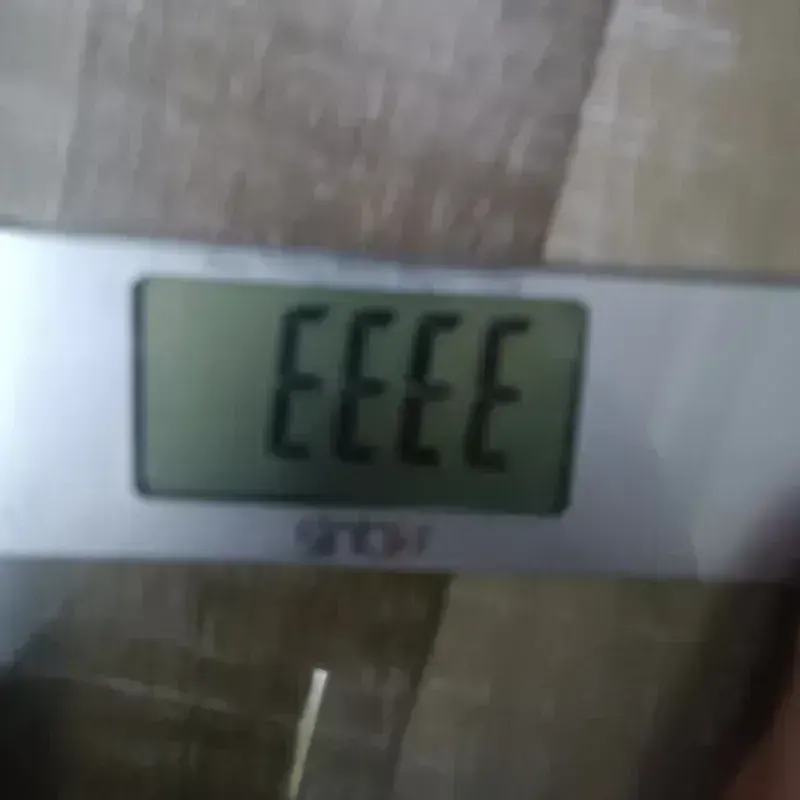 Sinbo SBS 4701 (Alternatif 5)