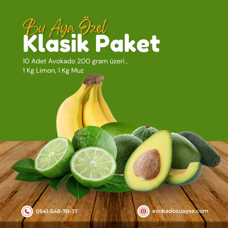 Kare Studyo Klasik Paket