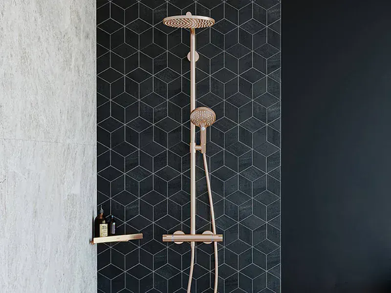 Hansgrohe Duşakabin