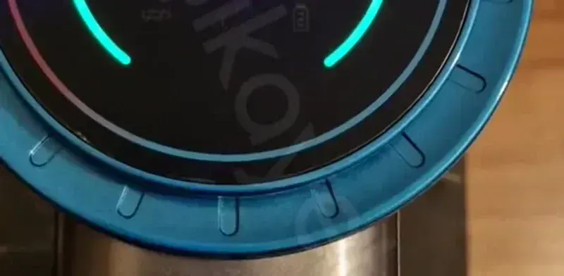 Fakir El Süpürgesi