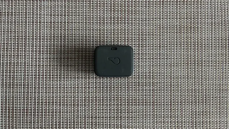 Whistle Health & GPS