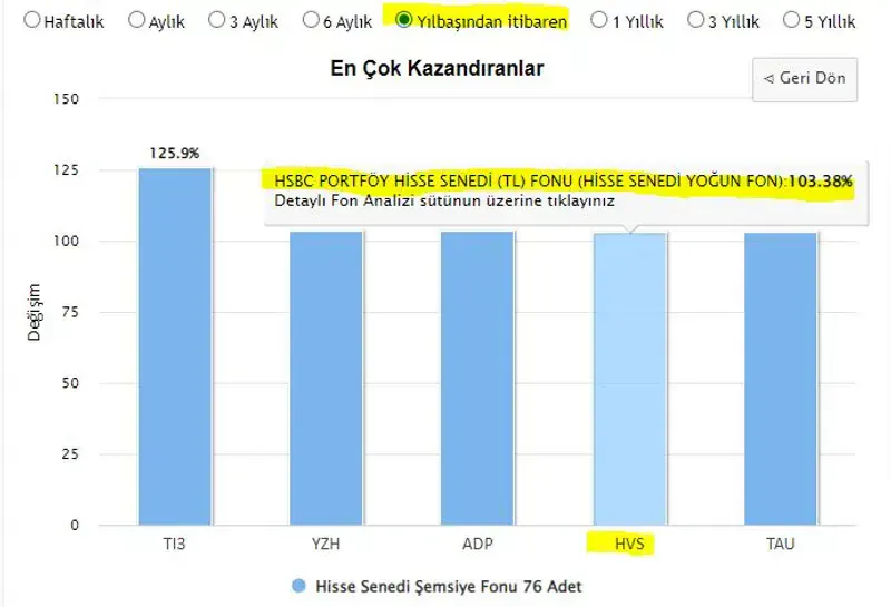 HSBC Portföy Değişken Fonu (HSD)
