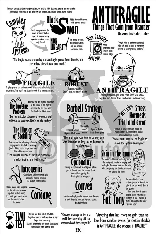 Antikırılgan (Antifragile), Nassim Nicholas Taleb