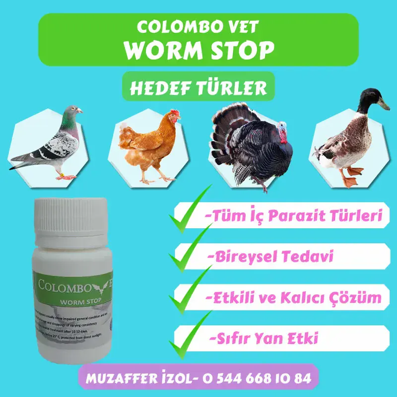 Pestmaster Türkiye (Alternatif 2)