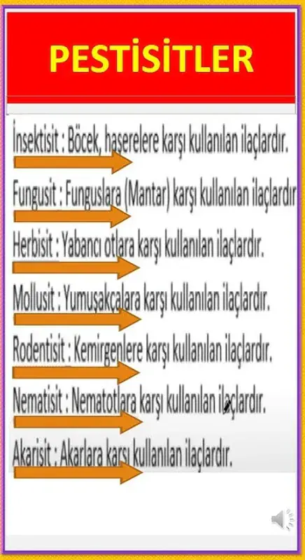 Pestrite Profesyonel İlaçlama