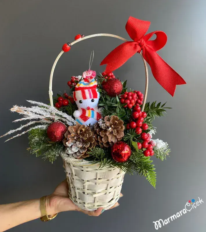 Schlumbergera (Yılbaşı Kaktüsü)