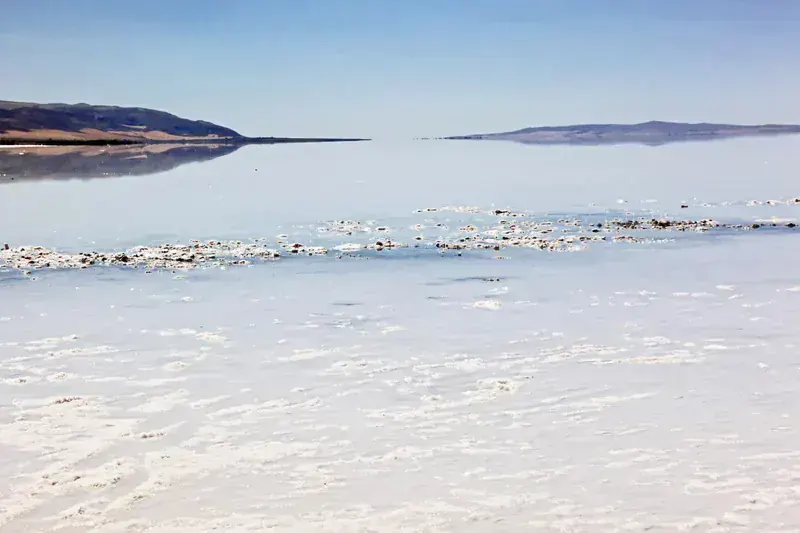 SaltTech Kaynak Tuzu Premium 500g