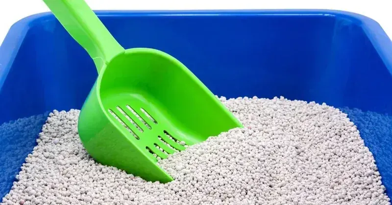 Trixie Koku Giderici Granul