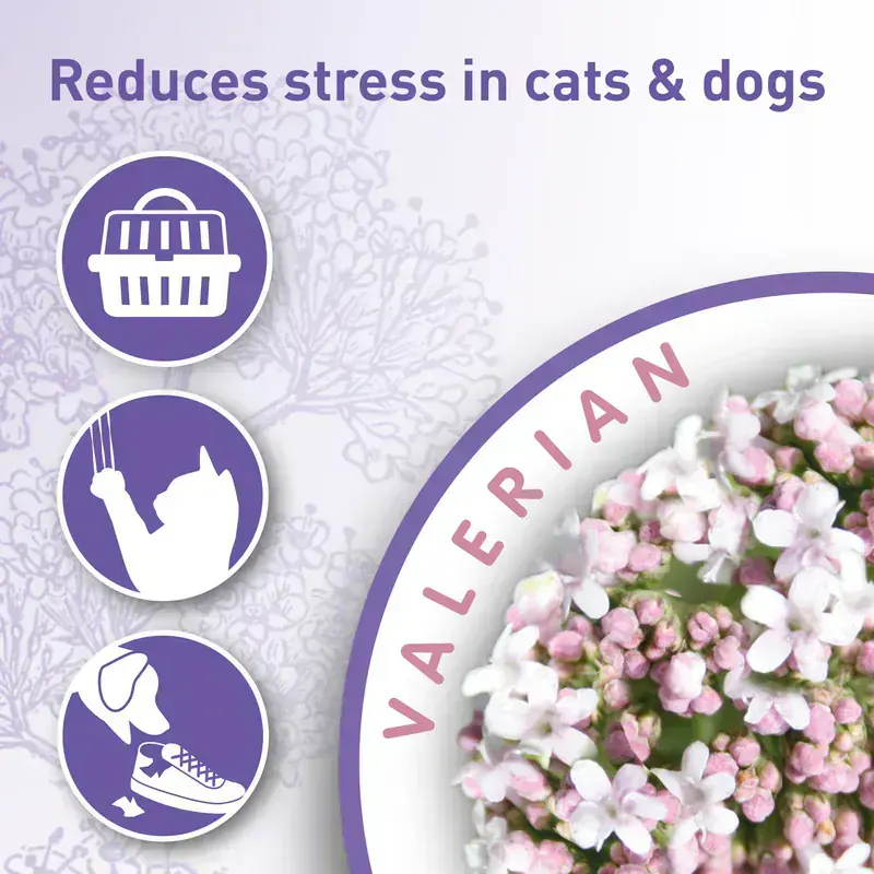 Beaphar CatComfort Calming Spray