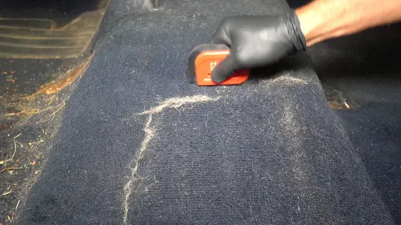 Lilly Brush Mini Pet Hair Detailer