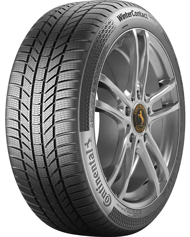 Continental WinterContact TS 870 P 205/55 R16 91H