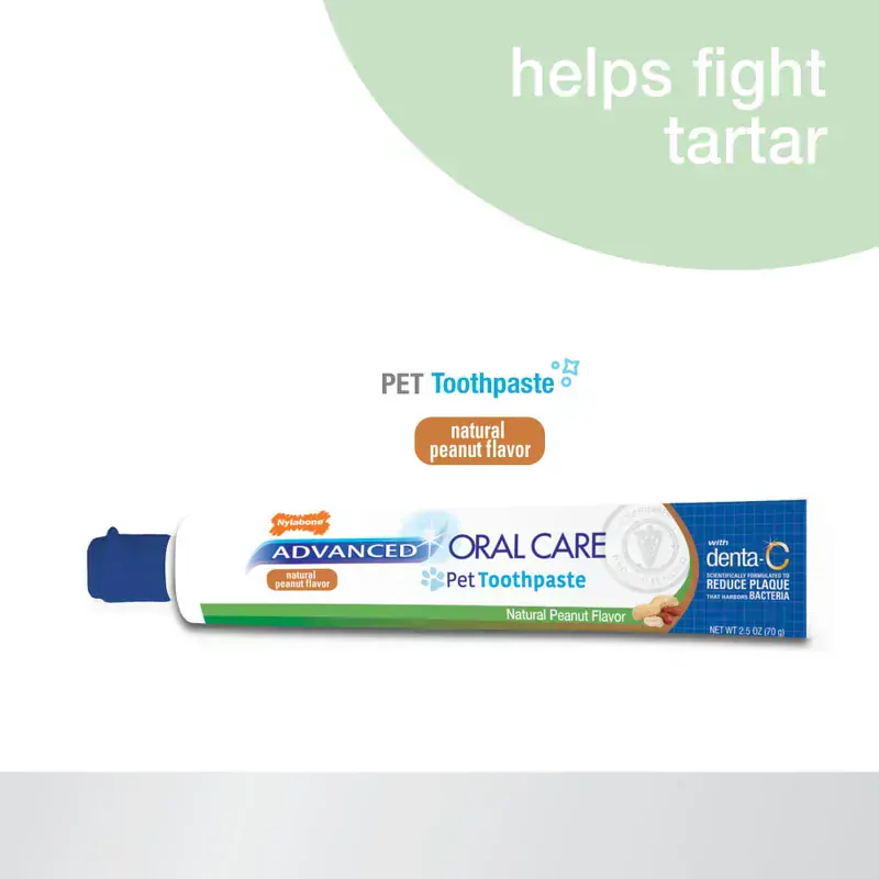 Nylabone Advanced Oral Care Tavuk Aromalı 70g + Fırça