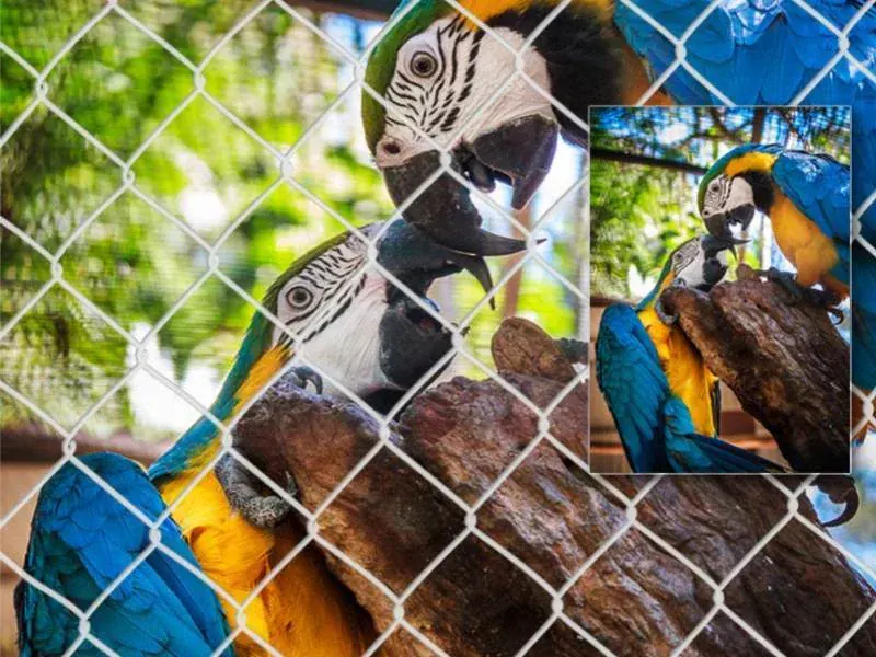 MidWest iCrate Köpek Kafesi Kulübesi