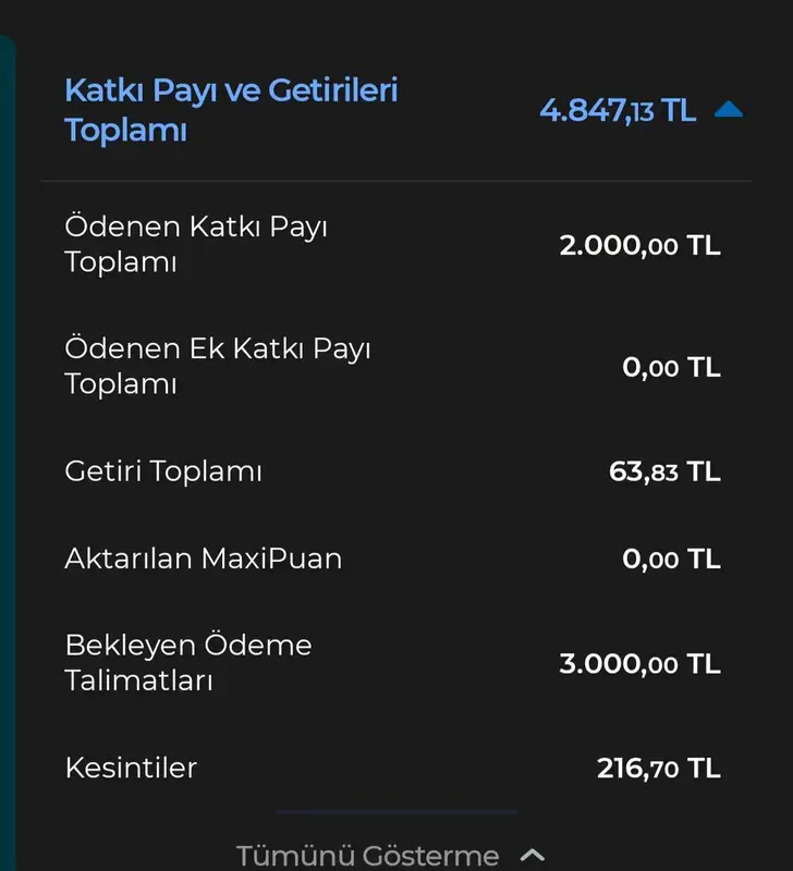 Anadolu Hayat Emeklilik Kredi Güvencem