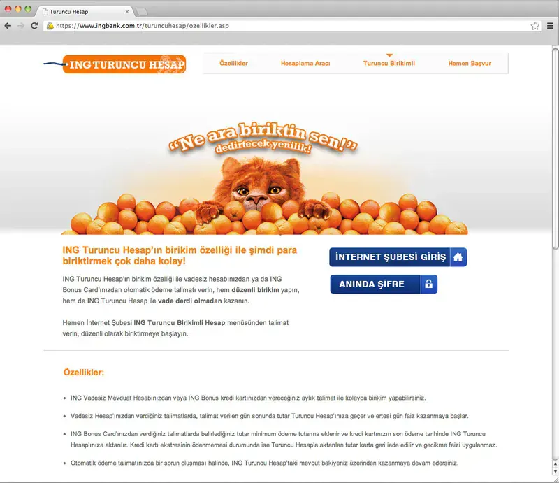 ING Turuncu Hesap
