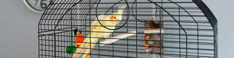Ferplast Prestige Cockatiel
