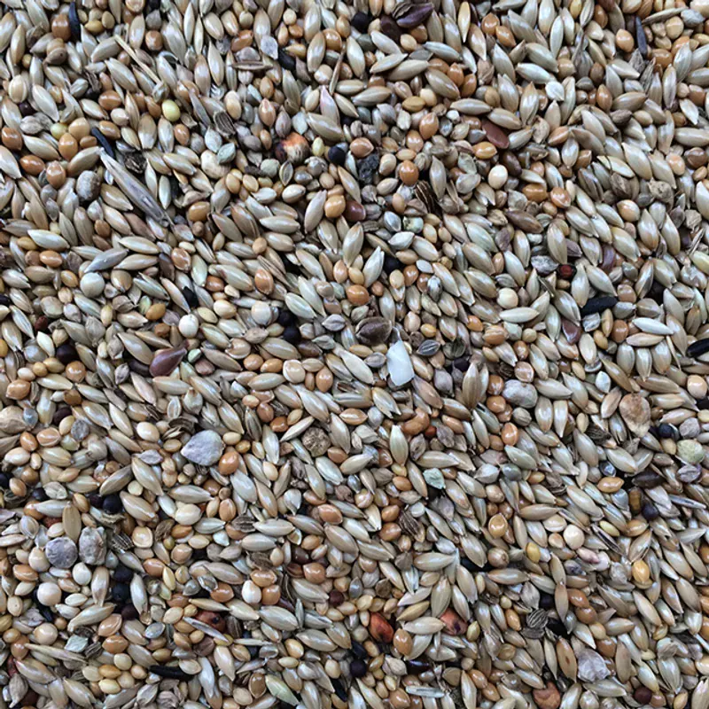 Orlux Graines Budgerigar