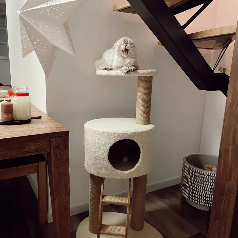 Zolux Nature Parakeet