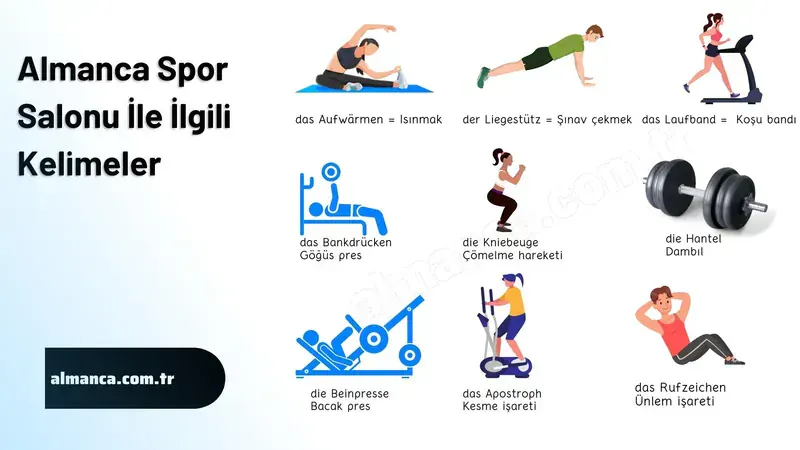 Lingoda Sprint (Almanca)