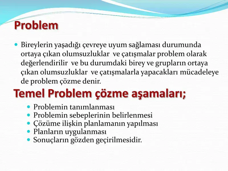 MESS Problem Çözme Temelleri
