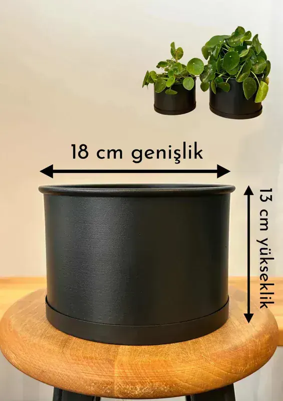 CoolConcept Metal Saksı (Paslanmaz Çelik) 22 cm