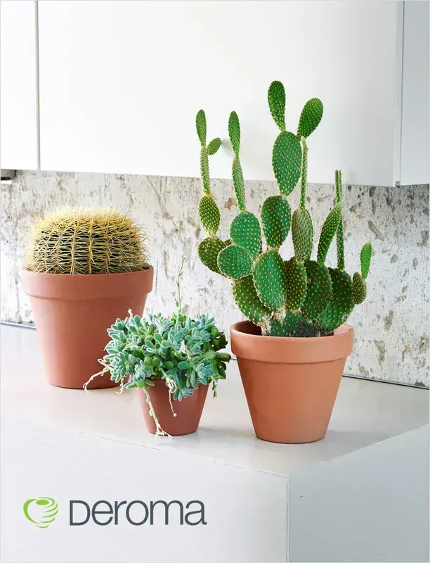 Deroma Standard Terracotta 24 cm