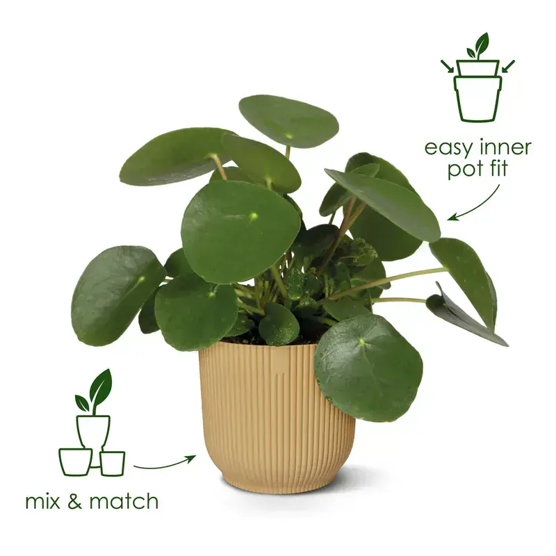 Elho Vibes Fold Round 22 cm