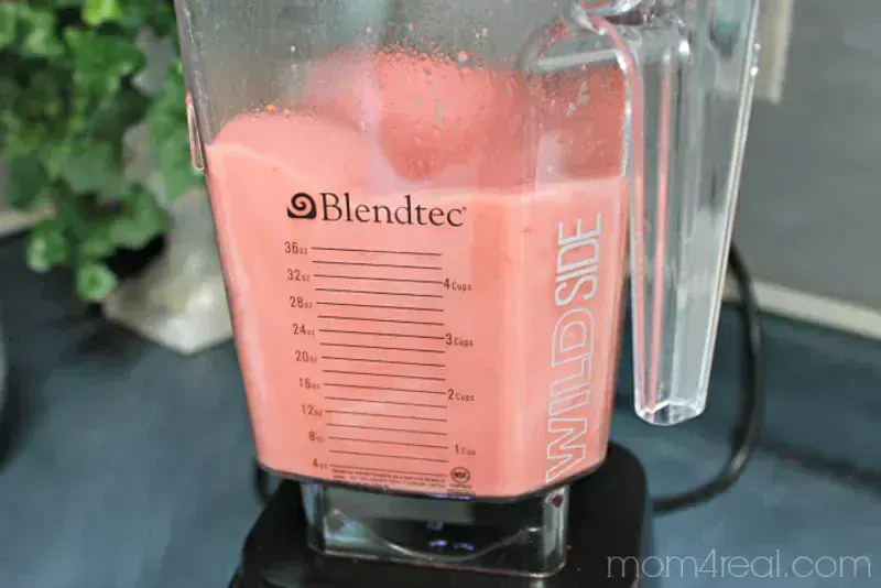 Blendtec Smoothie Makinesi
