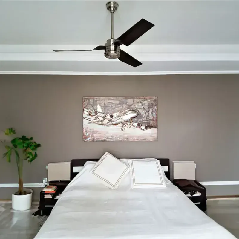 Albatros DC Tavan Vantilatörü