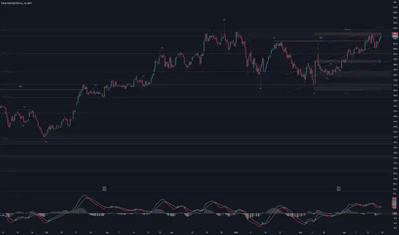 Coca-Cola İçecek (CCOLA)