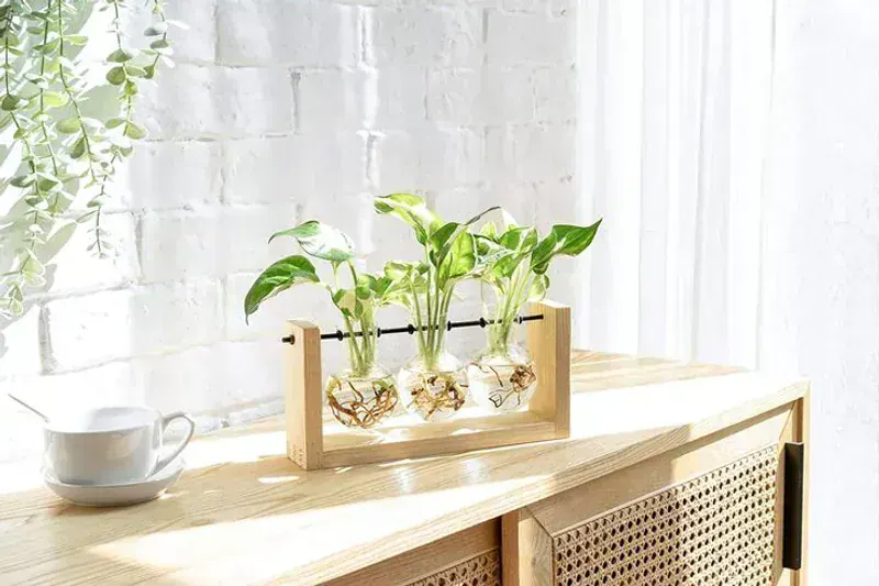 Mkono Glass Terrarium with Swing Lid