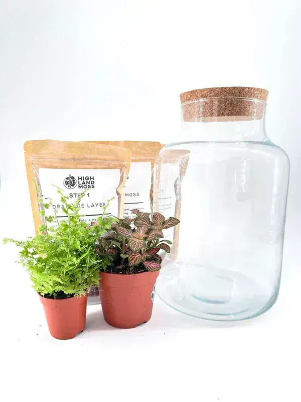 POPU DIY Terrarium Starter Kit
