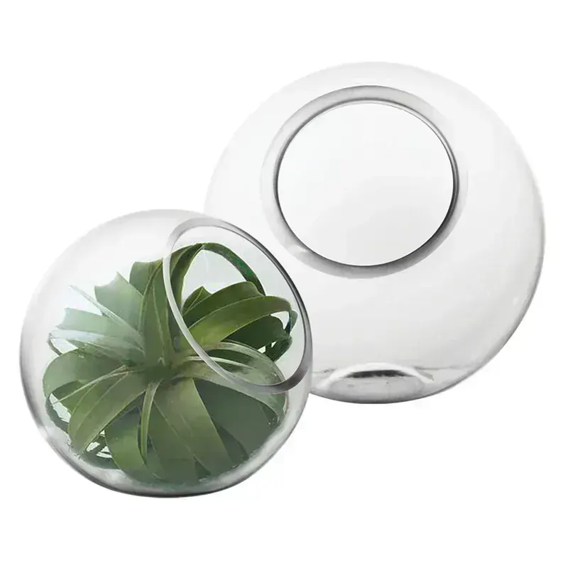 Syndicate Sales Bubble Bowl Terrarium