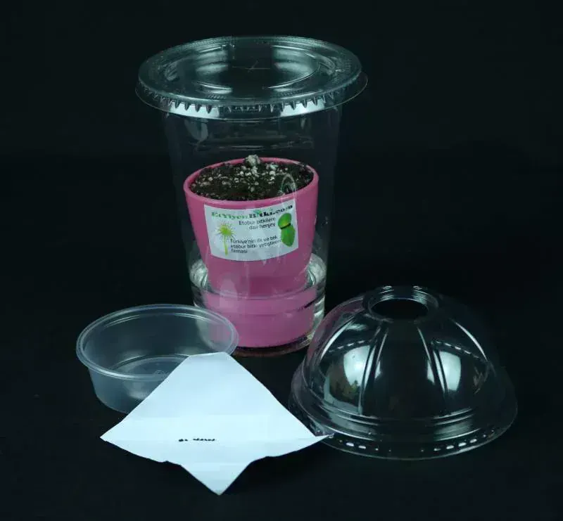 Zoo Med Teraryum Seti Model 8