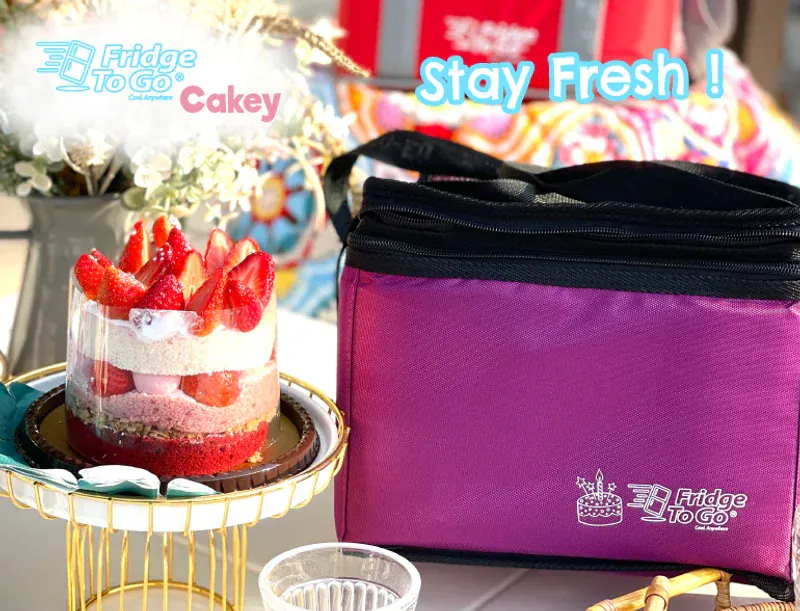 Fridge to Go Nano Cooler Çanta