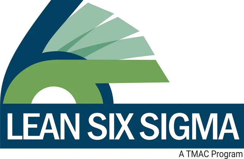 Lean Six Sigma Turkey