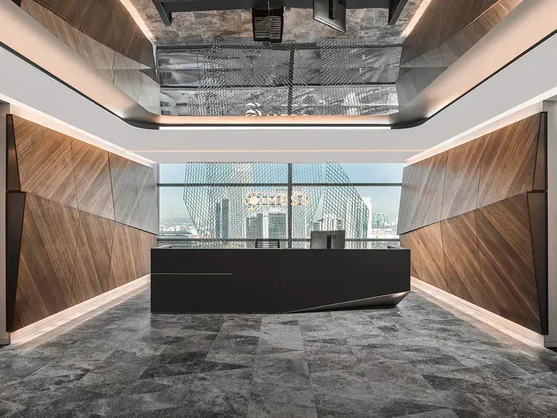 MESS Yalın Düşünce Temelleri