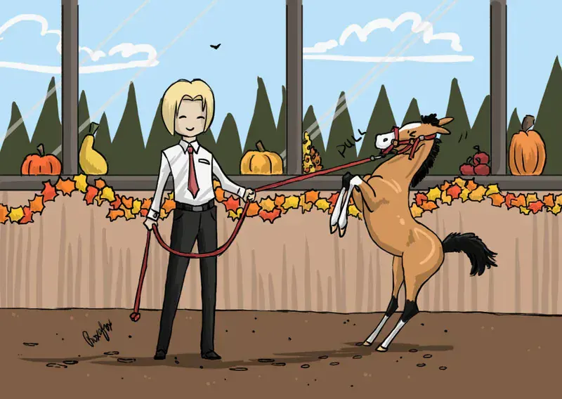 LSS Turkey Belt Programları